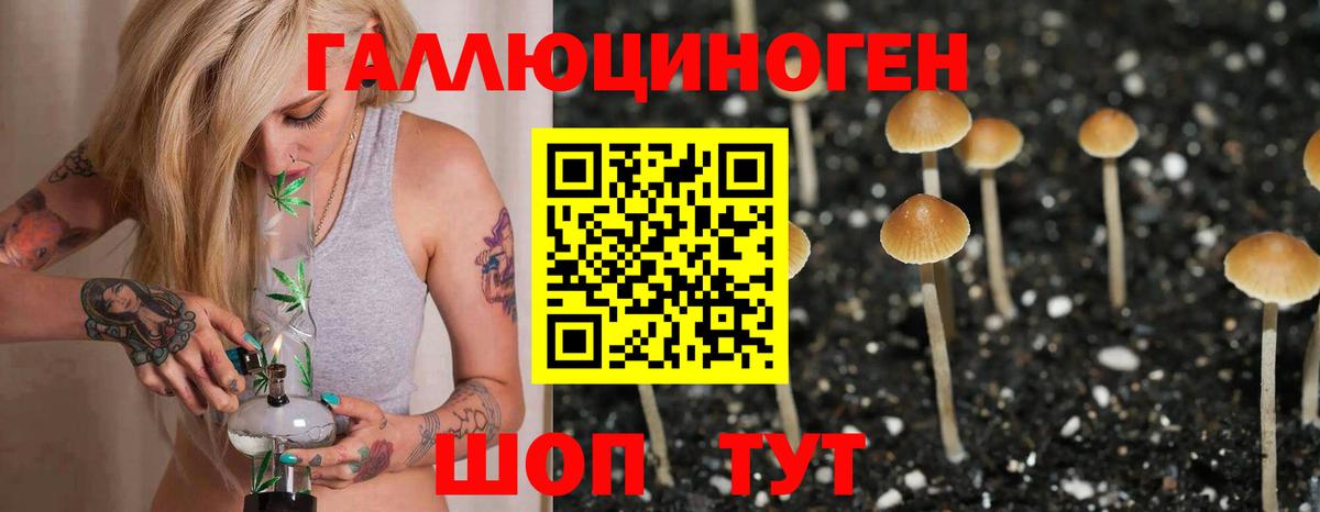 Галлюциногенные грибы мухоморы Обнинск